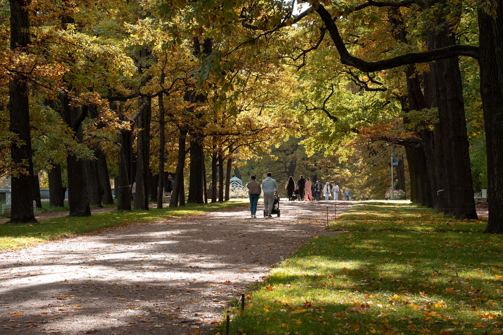 Catherine Park in autumn